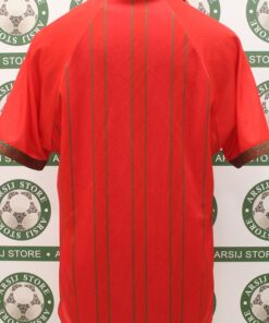 Alternative view of Maglia GALLES WALES M Home 1994/96