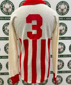Alternative view of Maglia PAGLIARE Match Worn Home